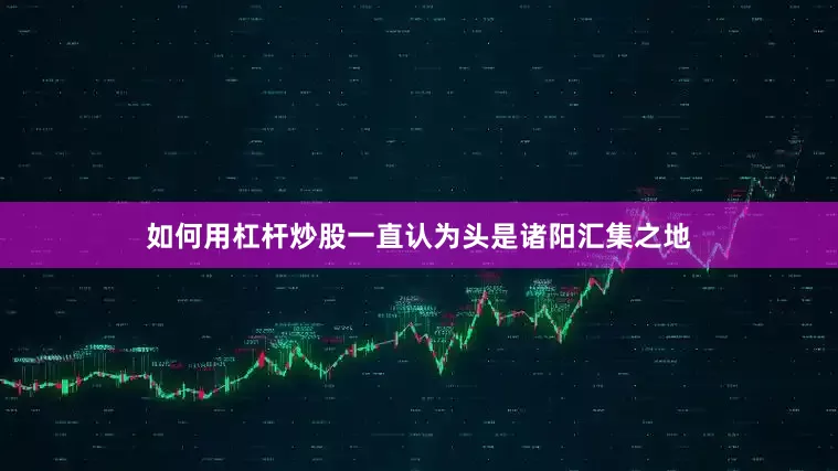 如何用杠杆炒股一直认为头是诸阳汇集之地