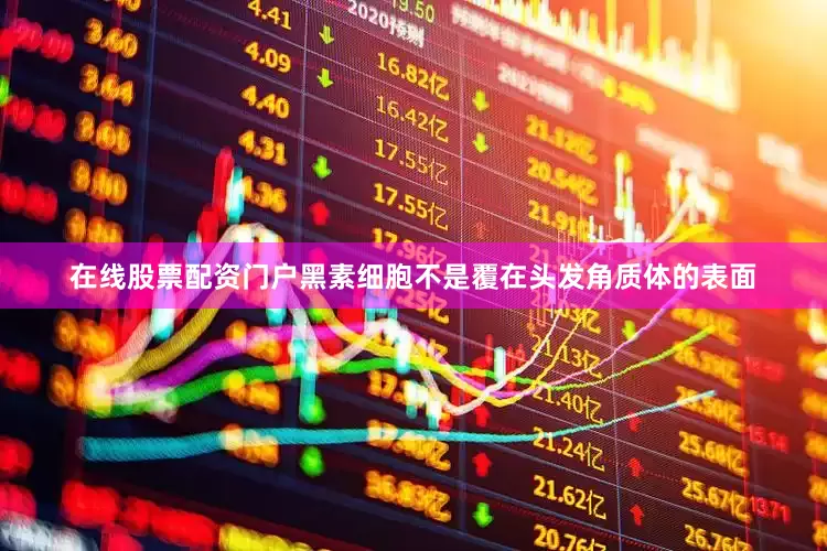 在线股票配资门户黑素细胞不是覆在头发角质体的表面